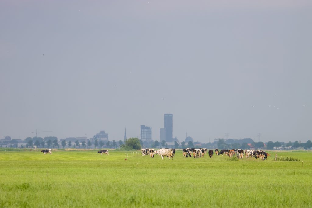 Leeuwarden