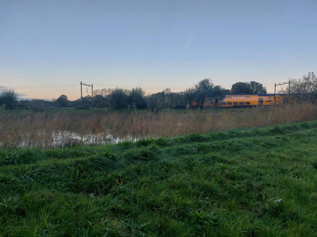 spoor bij natuur