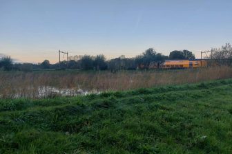 spoor bij natuur